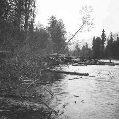 Photograph of Log Drive on the Willamette River, Oregon
