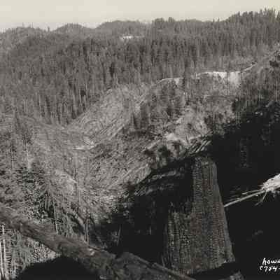 Photograph of a Logged Ravine, Date Unknown