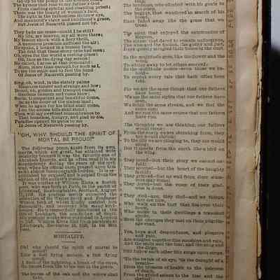 Page 233