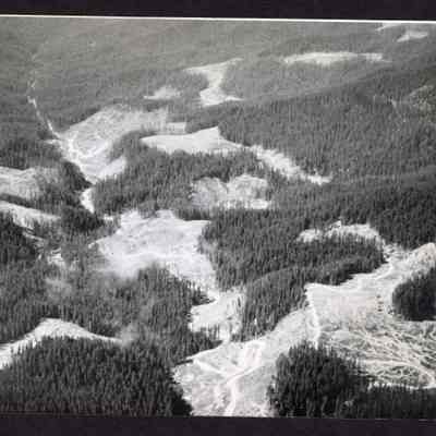 Ariel Photo by Weyerhaeuser Timber Co, Unknown date and location