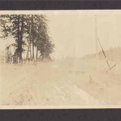 Photograph of Dirt Road and Tree, Undated