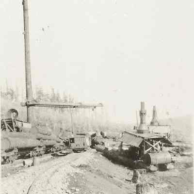 Photograph of logs on railroad cars being loaded on tracks, steam donkey and spar tree