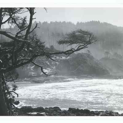 Photograph of Devil's Churn, Oregon Coast, circa 1969