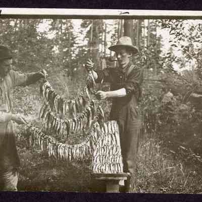 Photograph of Post Card of Will Rouse and Pratt Holverson and their Catch of fish in one day on a Mt. Stream 1921.