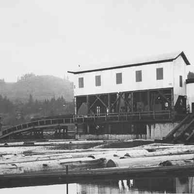Photograph of Booth Kelly logs in a pond, 1956