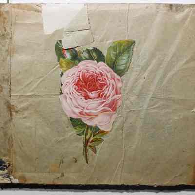 Scrapbook made by Virginia Reynolds with clippings about famous people and San Jose, CA, circa 1900