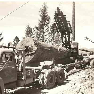 Photograph of Woolley Logging Co. Loading Logs, Drain, Oregon, Undated