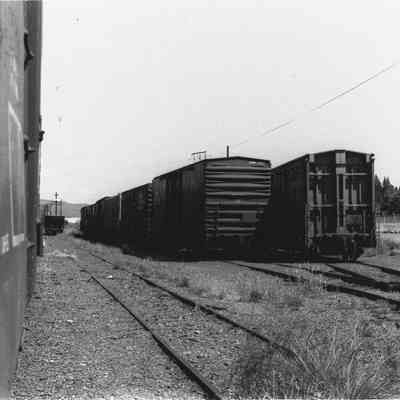 Photograph of Railroad Cars in the Rail Yard, Springfield, OR, date unknown