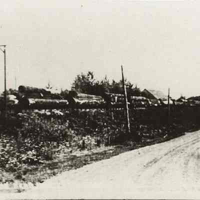 Photograph of railroad flatcars, each with three log load