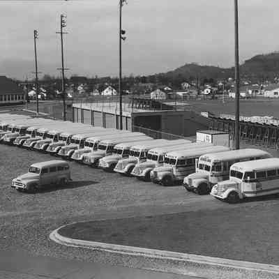 Photograph of bus fleet for School District 19, date unknown.