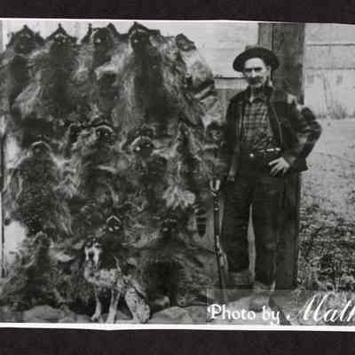 Photograph of Sime Putnam next to a dozen raccoon hides