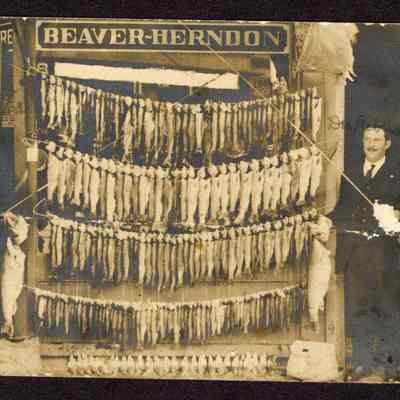 Photograph of Post Card of 3 men showing their catch. 1920 Some Fishing ! Three Friends , Welby Stevens, Dr. Rebhan and Jess Seavey.