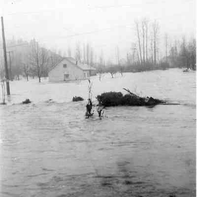 Photograph of the 1927 Glenwood Flood, Springfield, Oregon