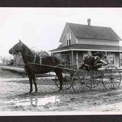 Photograph of Driver and Horse Buggy, Springfield, Oregon, Circa 1880