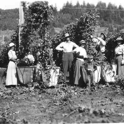 Photograph of an unknown group of hop pickers