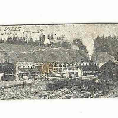 Photograph of Wendling Booth-Kelly Lumber Mill, Wendling, Oregon, circa 1901-1903