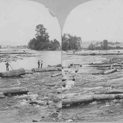 Photograph, stereoscopic, of Logging on the River