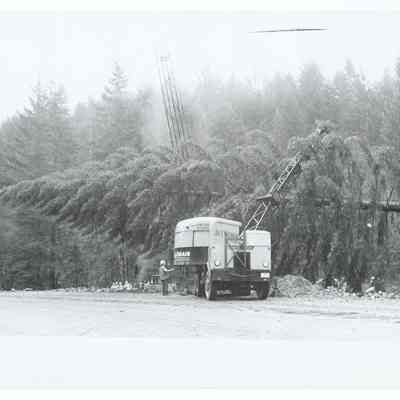 Photograph of the 1960's National Christmas Tree, Oregon's Presentation