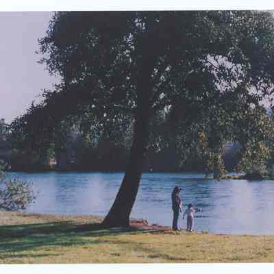 Postcard of Willamalane's Island Park, Springfield
