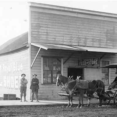 Photograph of Feed Store on Main St., Springfield
