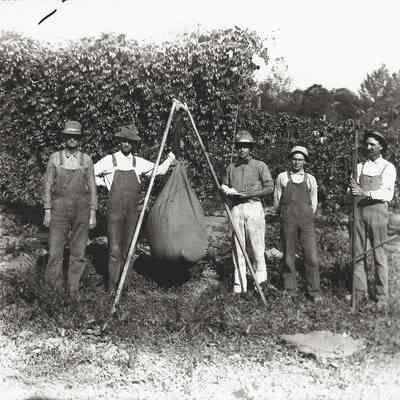 Hopyard Workers