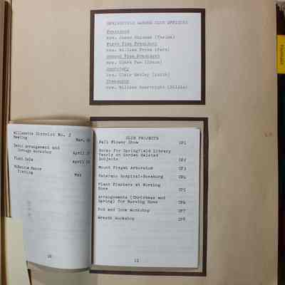Page 5 Booklet (pages 10 and 11)