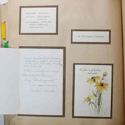 Page 42 Left card open