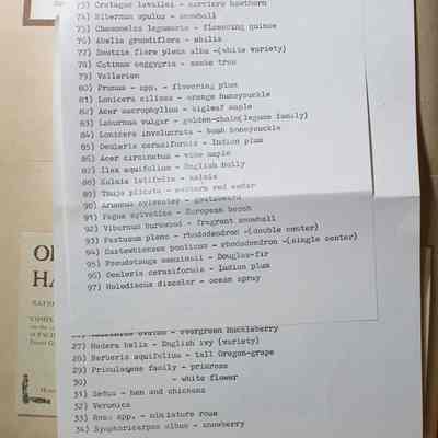 Page 48 List of Jenkins Estate Nature Train Pants from the pocket on the page (Page 3)