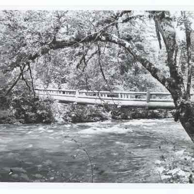 Photograph of a rustic bridge over the McKenzie River, Willamette National Forest, Oregon, circa 1969
