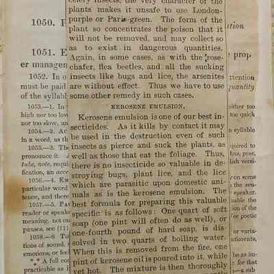 Page 93 (Originally Page 214)