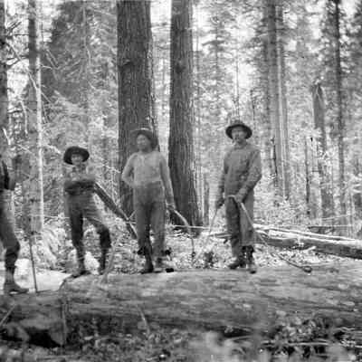 Photograph of Faye Abrams with three other unidentified men in woods, 1903-04