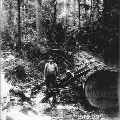 Photograph, George Veatch