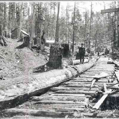 Photograph of a log road at Saginaw, circa 1900