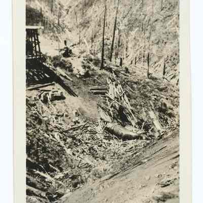 Photograph of the collapse of a train trestle bridge, Tillamook Branch, South Pacific Railroad, 1939-1940