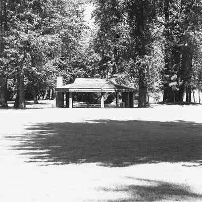 Photograph of Picnic Area at Island Park, Springfield, OR, date unknown