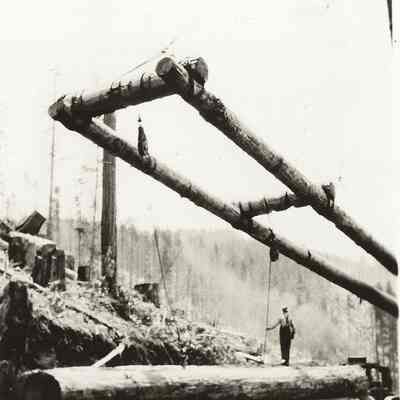 Photograph of an unknown man standing on log being lifted by boom