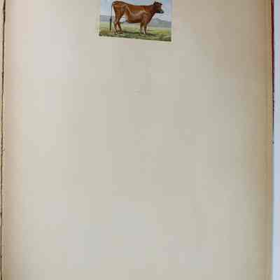 Page 29 (page 28 empty)