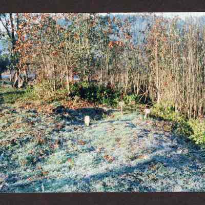 Photograph of Glenwood Cemetery Grave Markers, 1980-1999