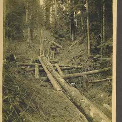 Pole Road at Ilwaco, Washington