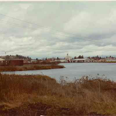 Photograph of Log Pond, Springfield, Oregon, 1982