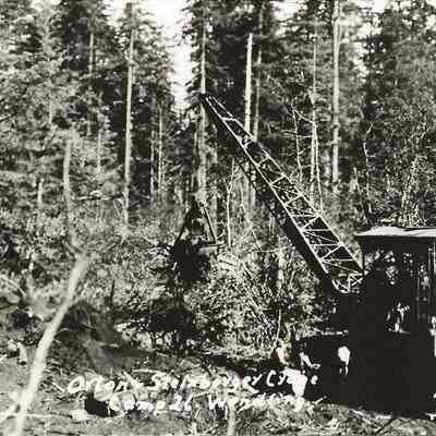 Photograph of logging donkey with a boom clearing a forest area for a camp, above Wendling, Oregon