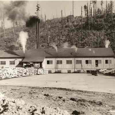 Photograph of Lumber Mill Yard, Undated