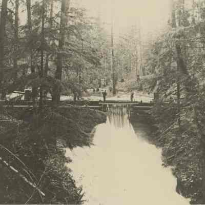 Photograph of Log Splash Dam, Willamette River, Oregon, 1905