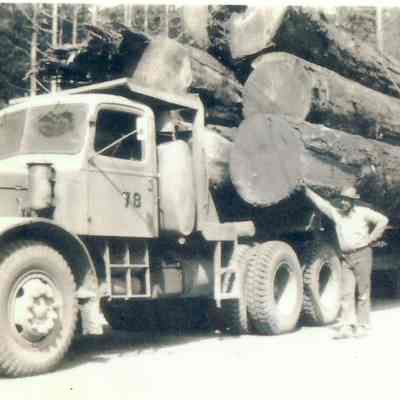Photograph of George Spence with load of wood, Mohawk, Oregon