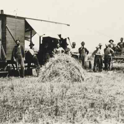 Farming in Springfield, crew including Frank Anderson