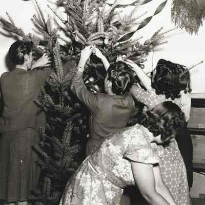 Photograph of students decorating a tree at Springfield High School, Springfield, Oregon, circa 1940s
