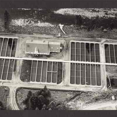 Photograph of the aerial view of the Fish Hatchery in near Leaburg, Oregon