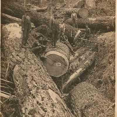 Photograph of log pulling crew