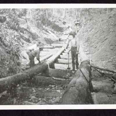Photograph of loggers building a pole road above Wendling, Oregon circa 1906