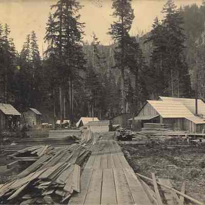 Lumber - Mill - Camp 1904